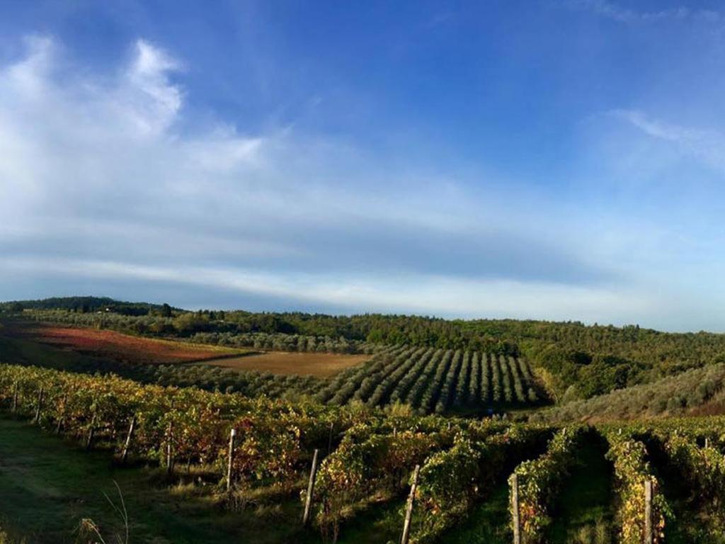 Podere La Casetta - Casa Di Campagna Монтайоне Экстерьер фото