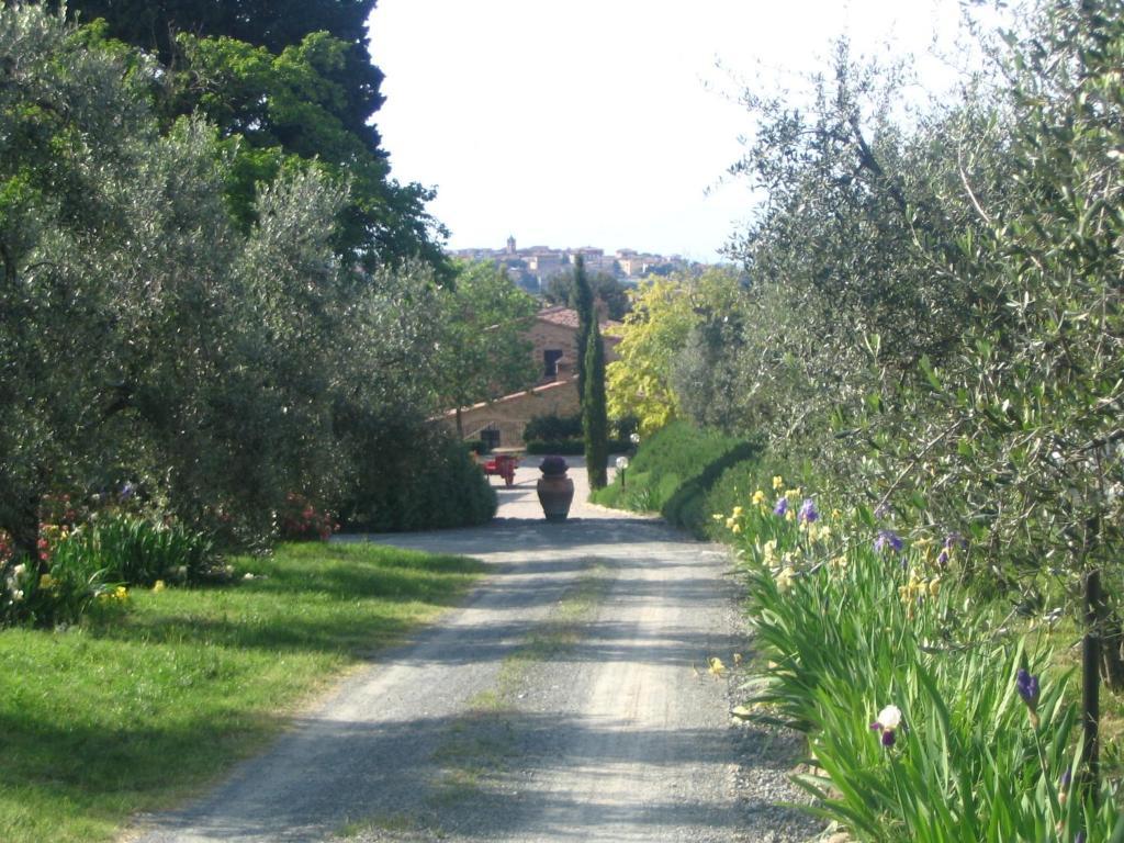 Podere La Casetta - Casa Di Campagna Монтайоне Экстерьер фото